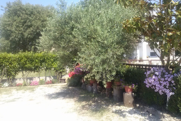 Family pension Ivanka Barac